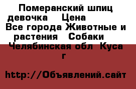 Померанский шпиц девочка  › Цена ­ 50 000 - Все города Животные и растения » Собаки   . Челябинская обл.,Куса г.